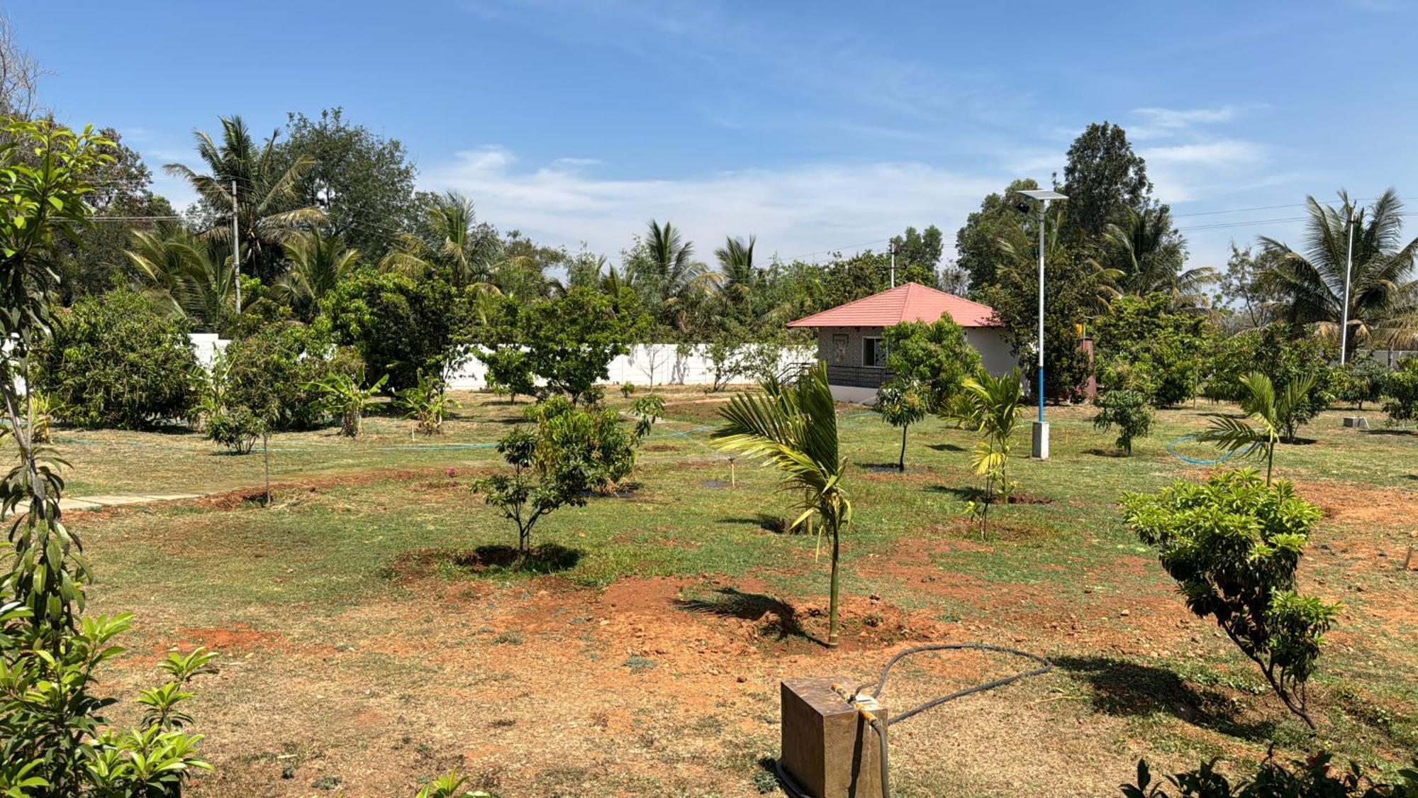 Raj Home Stay Mysore Extérieur photo