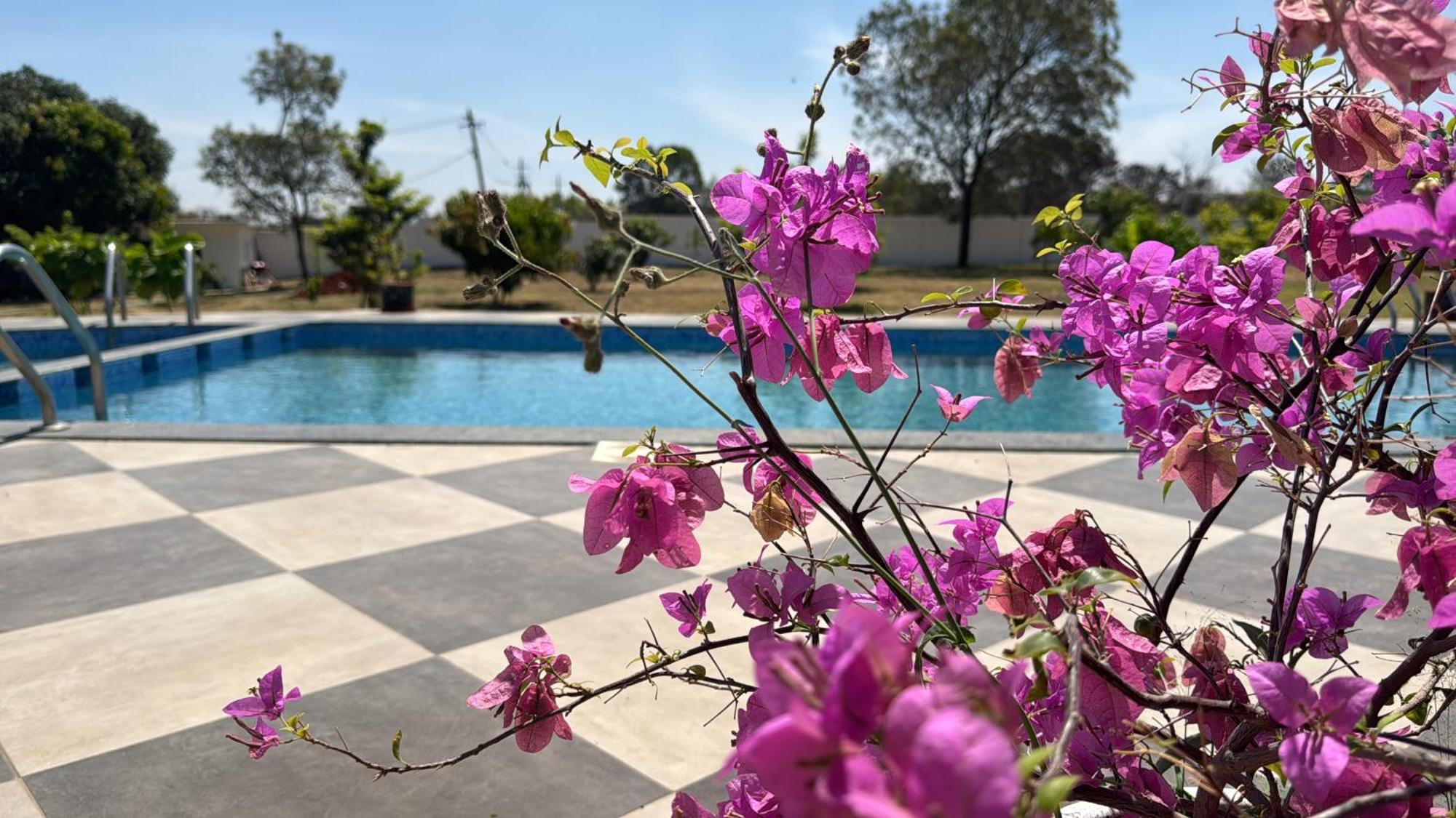 Raj Home Stay Mysore Extérieur photo